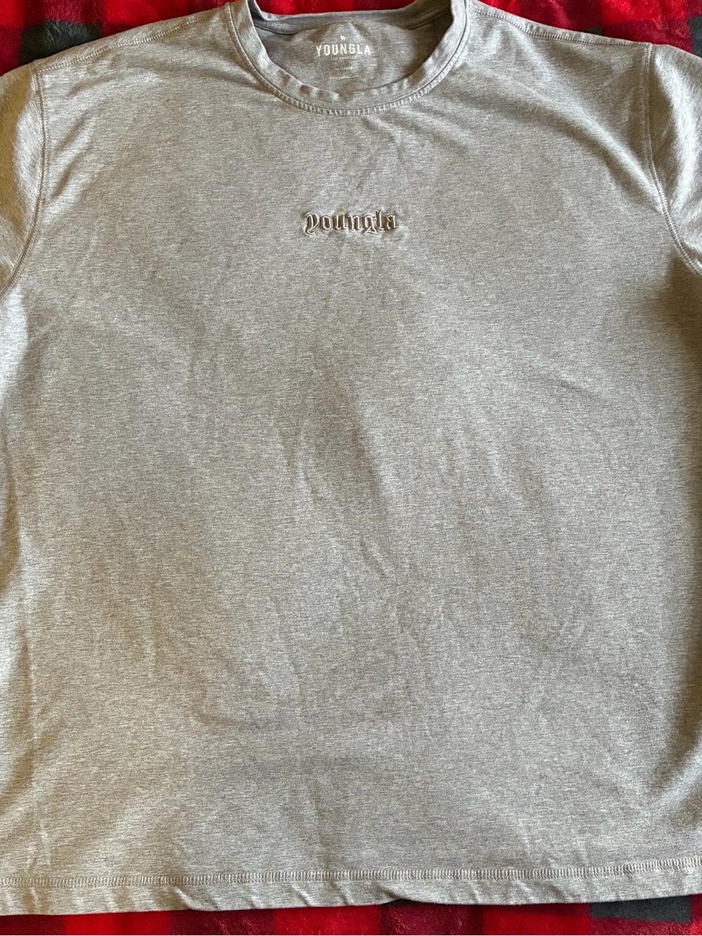 YoungLA Light Gray Short Sleeve Crewneck Tee with Small Chest Logo